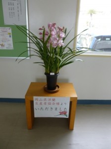 P1000736