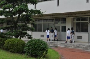 ﾌﾞﾗｲﾝﾄﾞｳｫｰｸ (3)