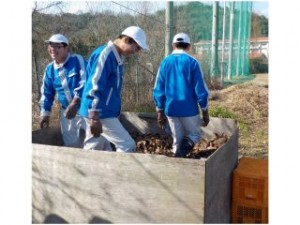 １年堆肥
