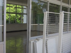 IMG_5387-1